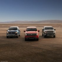Freedom of Choice Campaign